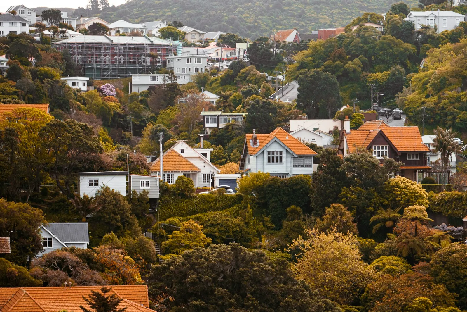 Houses on a bush-covered hillside in a New Zealand suburb